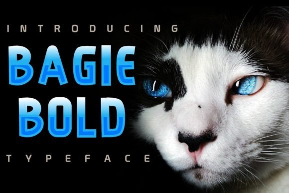 Bagie: A Modern Script for Creative Projects