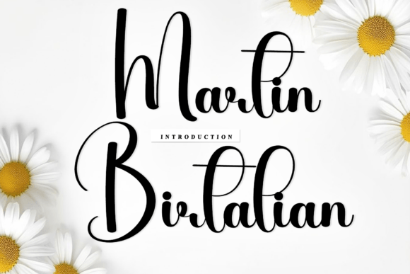 Discover the Artistry of Martin Birtalian Script Font